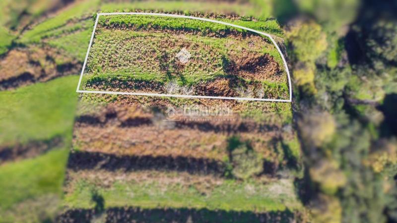 Foto ce94bd4f-c421-4e33-8aae-55559aaba869. Finca rústica a Centro Orotava (La)