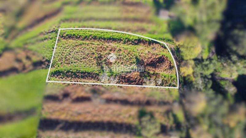 Foto e33de3ed-fa28-4f5a-aa65-d0fa7df33ed9. Finca rústica a Centro Orotava (La)