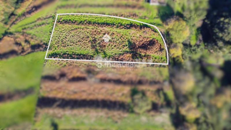 Foto fd9f917a-73db-4e20-b60e-fe3b935e792f. Finca rústica a Centro Orotava (La)