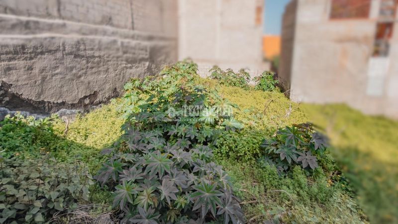 Foto a01644cc-9139-4564-8702-59f8d507d37e. Terreny residencial a Centro Orotava (La)