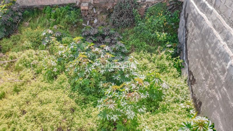 Foto dadb4ddb-8836-4a46-b958-9e476b6fe29d. Terreny residencial a Centro Orotava (La)