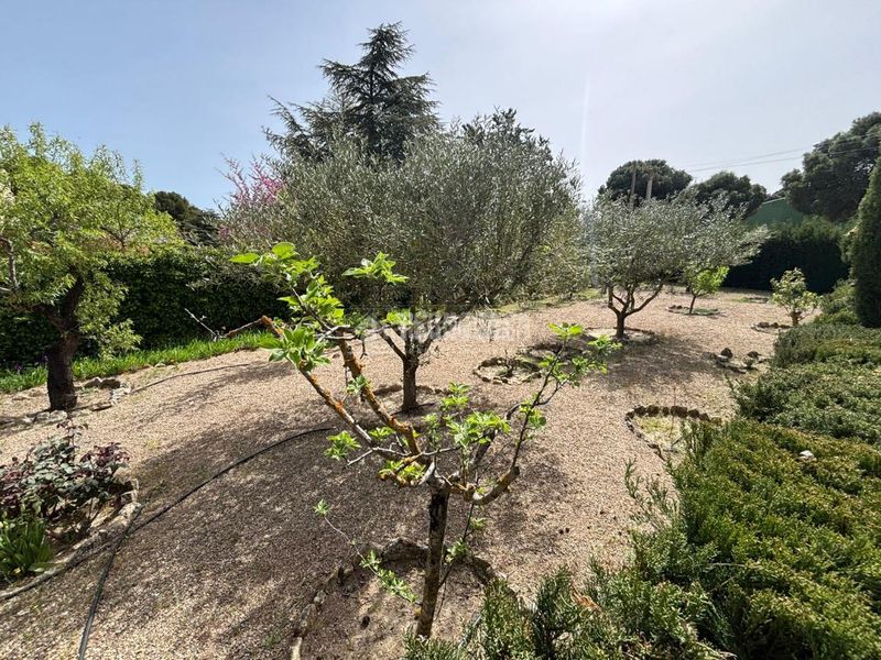 Foto 21f1f7ae-81b6-4b65-b8f1-941a709ae626. Casa a Muela (La)