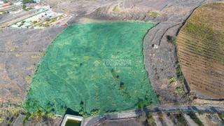 Finca rústica a Casco Urbano. Terrenos en venta en adeje