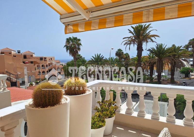 Foto 935231a8-5abd-4807-9101-a9b69beec172. Pis a San Eugenio Alto Adeje