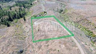 Finca rústica a Casco Urbano. Terrenos en venta en adeje