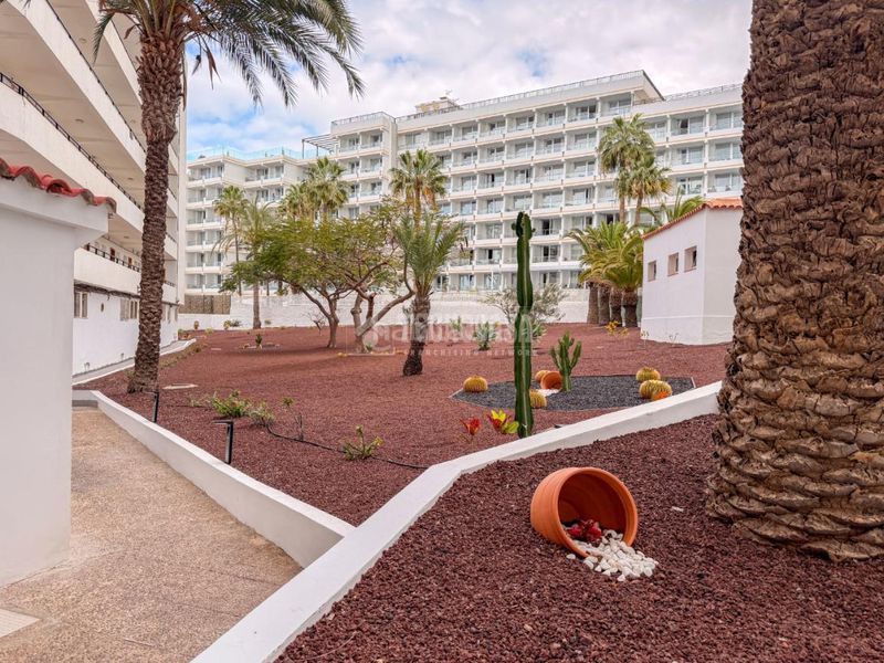Foto 03d34b65-9406-4800-b927-0bf1d2302948. Piso  en venta en Playa de las Américas Adeje