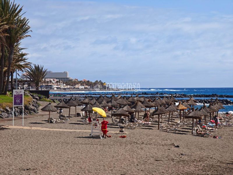 Foto 637535b9-e724-4c27-82d5-a640d57a87a5. Pis a Playa de las Américas Adeje