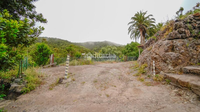 Foto a65b7c2f-4db1-4988-986d-1f8b14db8d43. Masia a Agulo