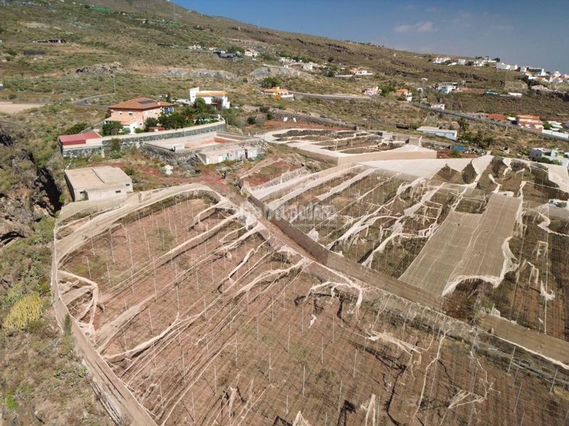 Foto b99b47a0-769e-4c44-92f9-af3b54fe0810. Finca rústica a Tijoco Bajo Adeje