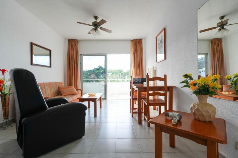 Foto dc607a20-895b-428c-b330-418e14bba103. Estudio piso en venta en San Eugenio Alto Adeje