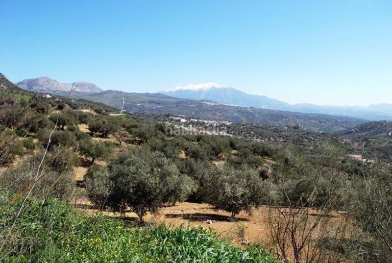 Foto 1ab05712-53be-4e00-ba56-1ea11a8754e7. Terreno residencial venta de parcela urbana en Periana
