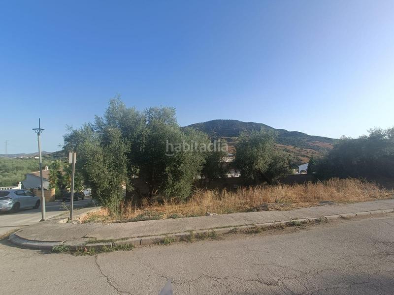 Foto aedca5be-c2cf-467d-b287-112ab5854255. Terreno residencial venta de parcela urbana en Periana