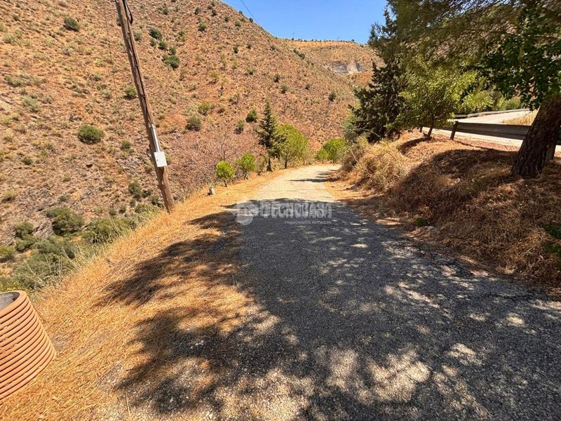 Foto a61d0a55-7896-41fd-84c8-2d215edcaced. Finca rústica a Quart de Poblet