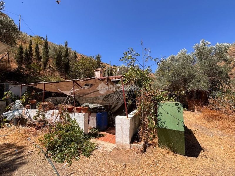 Foto ab9a4acc-59e7-45ae-8335-edfe588d3a83. Finca rústica a Quart de Poblet