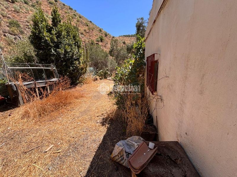 Foto bdca0a4b-c428-4dca-978f-c3841fe5aad2. Finca rústica a Quart de Poblet