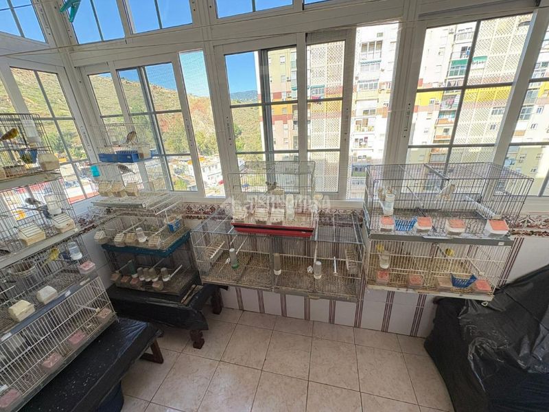 Foto 3e14f934-c2d3-4387-ba36-338ad5793409. Piso  en venta en Palma - Palmilla Málaga