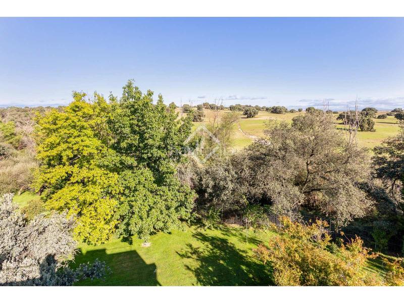 Foto e66c1f14-c0c5-4b49-b61e-6dc2171242ee. Chalet avec parking piscine dans Ciudalcampo