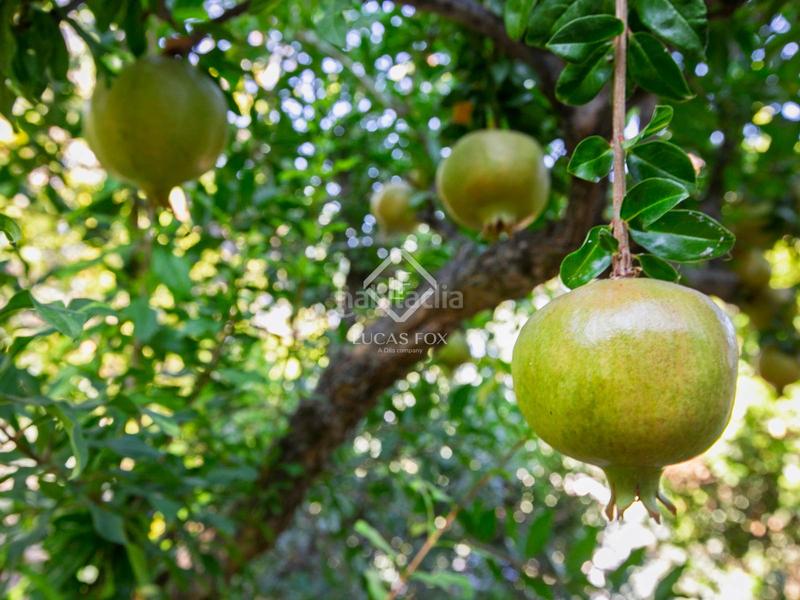 Foto 0684b5f8-af74-4a3a-9bf1-7796d3632757. Chalet mit heizung pool in Santo Domingo