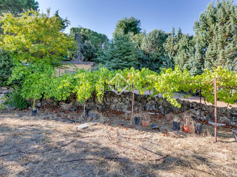 Foto 149f2fd4-ade9-4b41-b267-1419713699a5. Chalet mit heizung pool in Santo Domingo