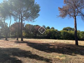 Finca rústica en Urbanización La Moraleja. Parcela en excelentes condiciones en venta en la moraleja, madri