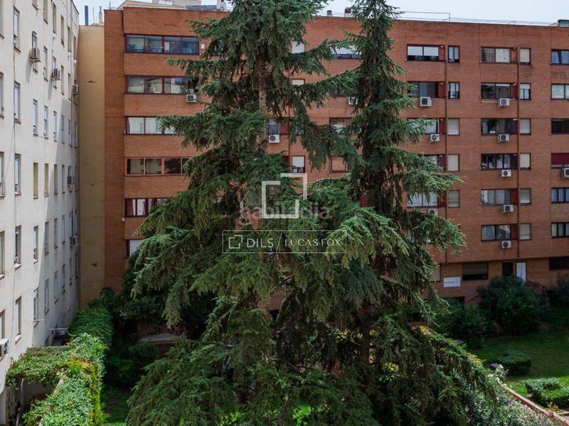 Foto c1e80a11-a154-457f-b4e8-fb49cf86f587. Rent flat in Ibiza Madrid