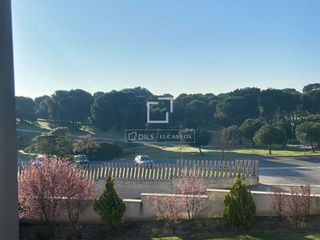 Pis a Golf-El Carralero