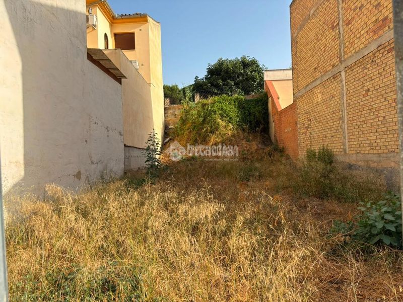 Foto 3e9cc088-e7a2-41dc-8881-373ec0ecebea. Terreny residencial a Fuentemora Antequera