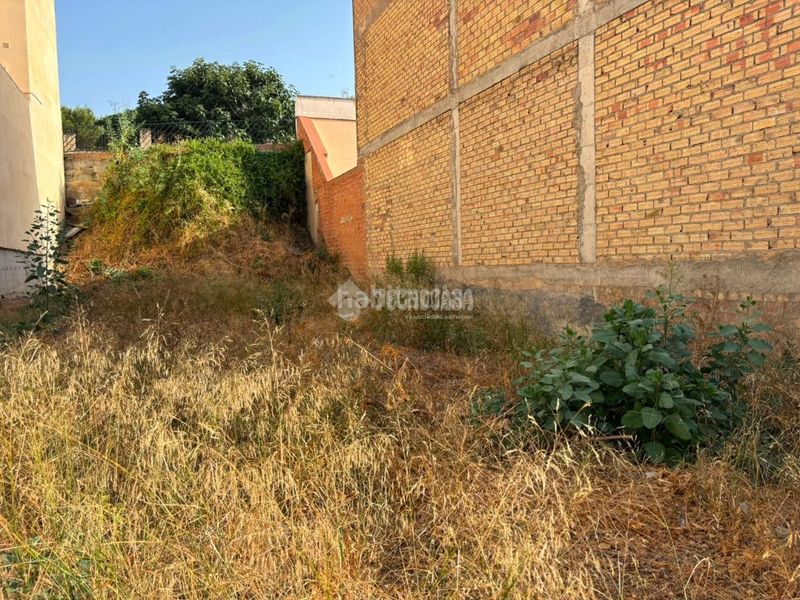 Foto 6d0e5df3-70e5-46f4-b8b6-0413fafd3773. Terreny residencial a Fuentemora Antequera