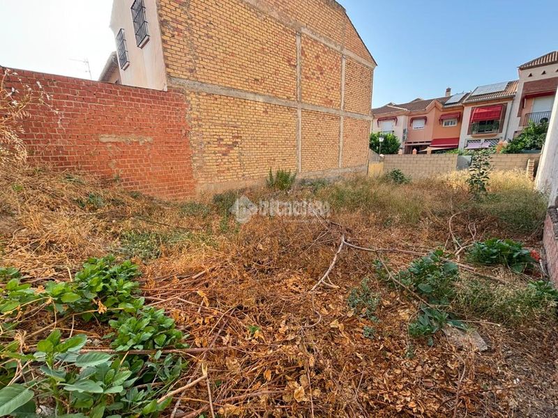 Foto 71f341d2-25dc-448b-9068-8b2bae26621f. Terreny residencial a Fuentemora Antequera