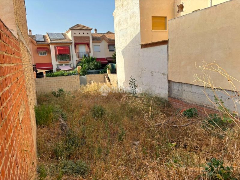 Foto 81fd480b-2000-4a9f-8129-96d88ce36e55. Terreny residencial a Fuentemora Antequera