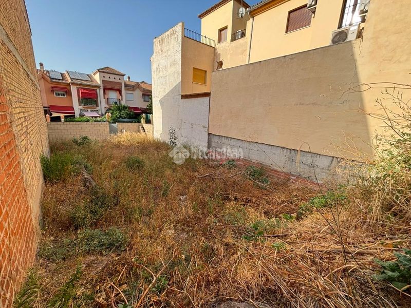 Foto c3e1b76c-e30a-45f0-b879-85d6899cc70e. Terreny residencial a Fuentemora Antequera