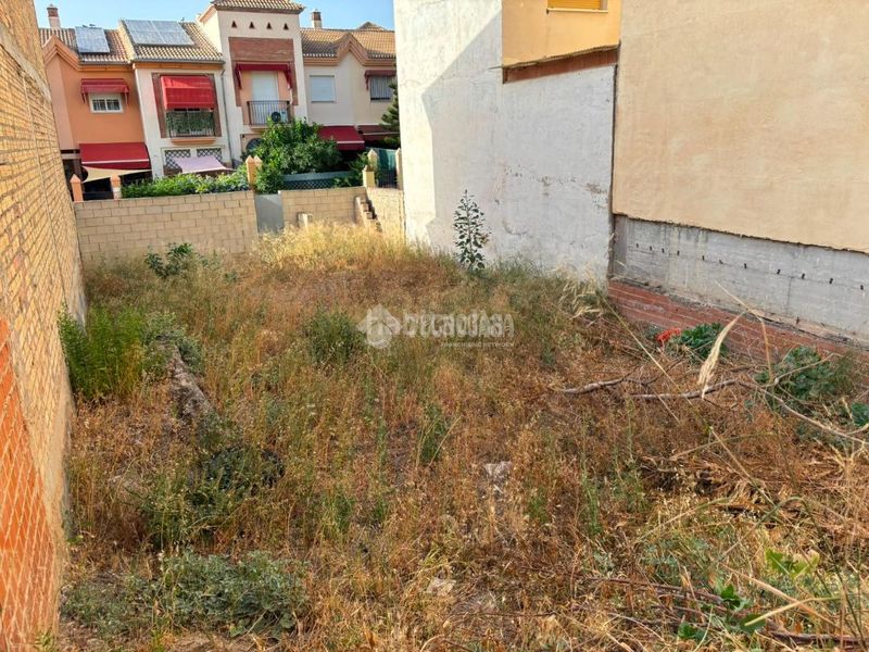 Foto e39a9e0d-b4b6-41ab-96f7-c168ef3472ff. Terreny residencial a Fuentemora Antequera