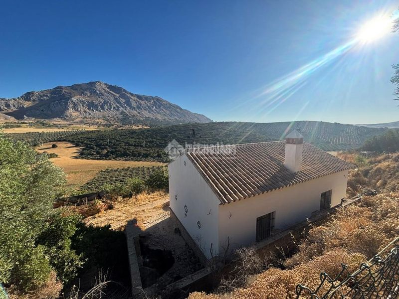 Foto 0ef7ef10-b2fd-4424-bc20-1deb07e088e9. Masia a Valle de Abdalajís