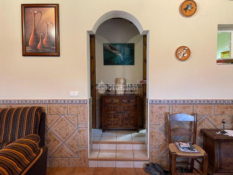 Foto d4fa45f7-9411-4f79-ba72-fea672c6d847. Masia amb piscina a Archidona