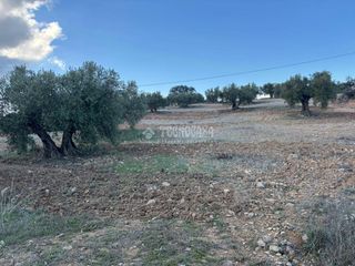 Fondo rustico in Centro. Terrenos en venta en antequera