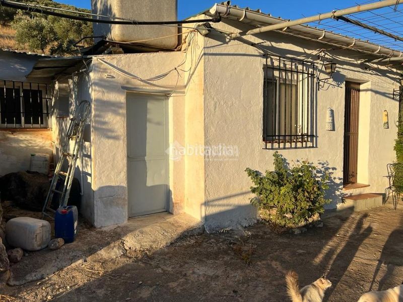Foto 00eadfab-b96e-44ad-b6a9-b494fe8ab271. Masia a Centro Antequera