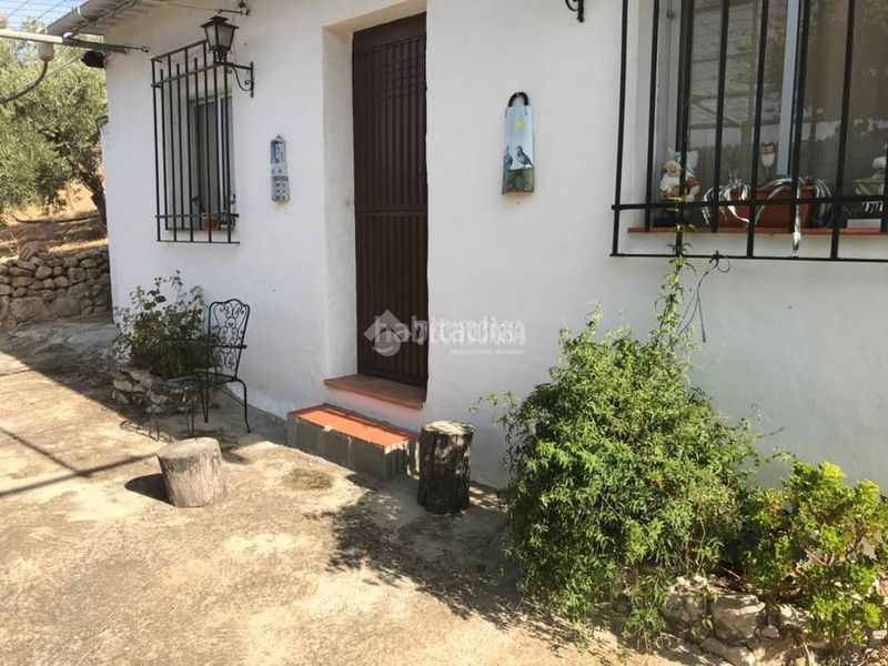 Foto 362c8b81-8424-4ee1-9569-e9ca1b9832d7. Masia a Centro Antequera