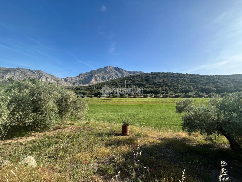 Foto ab02f369-a5bf-4f66-8de3-da5dbe243485. Masia a Centro Antequera