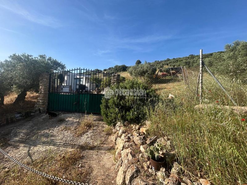 Foto abc17904-3825-4659-a391-913962795f17. Masia a Centro Antequera