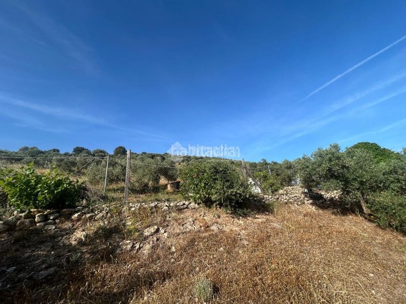 Foto becbce8b-350c-4719-9dde-b7545dfac696. Masia a Centro Antequera