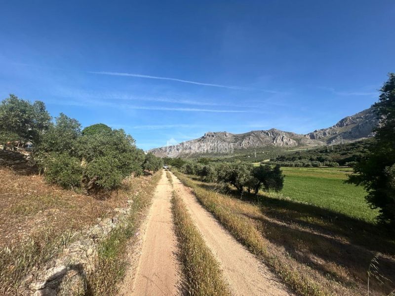 Foto c15a50ab-52a8-49e8-9cf4-73c5eb969417. Masia a Centro Antequera