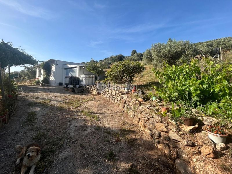 Foto db7b306f-d80a-4cfc-b99c-65c548208fb0. Masia a Centro Antequera