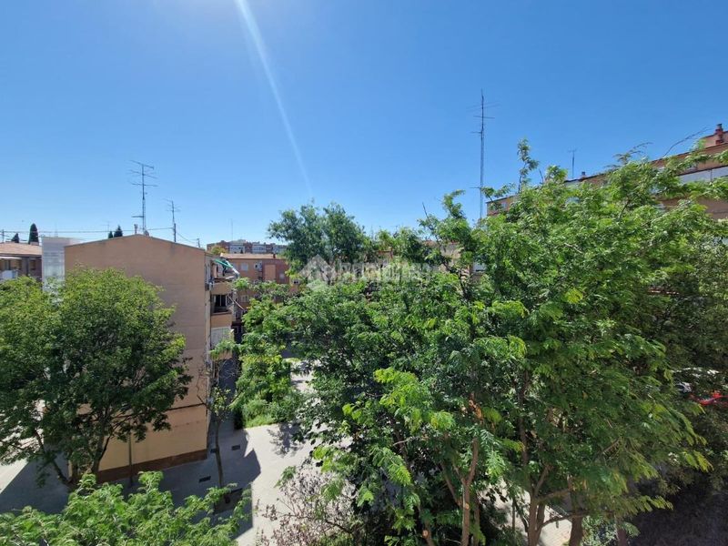 Foto b3ad90c2-d3f2-43e7-a4ed-12bd3fdf9897. Pis a Comillas Madrid