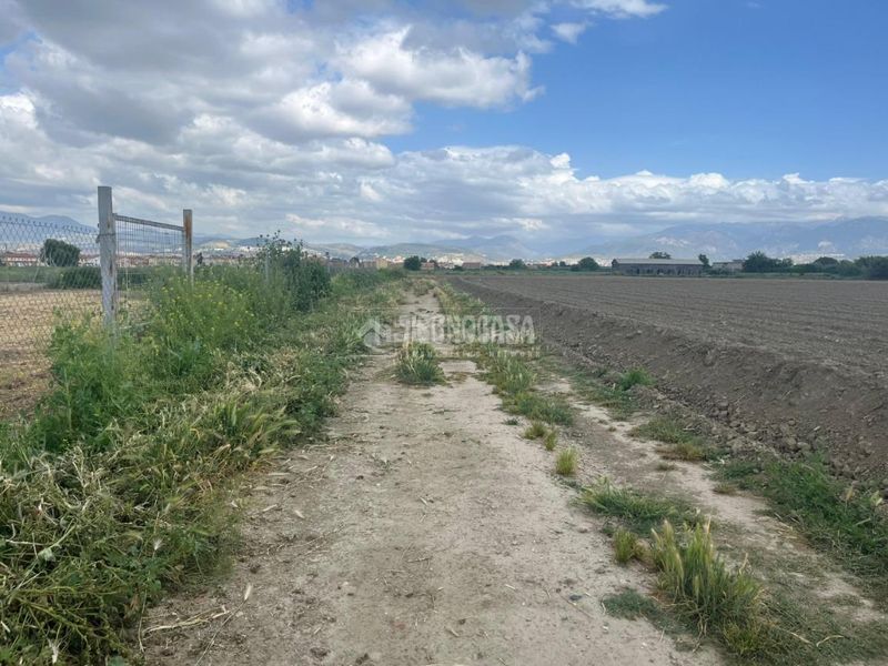 Foto c0df753c-867c-4417-9e67-82fa3d6aa98f. Finca rústica a Cúllar Vega