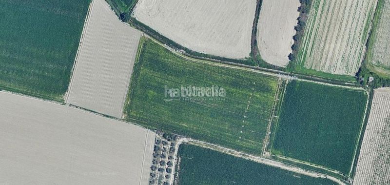 Foto d8b398aa-2340-44bb-94bc-59bae19962a9. Finca rústica a Cúllar Vega