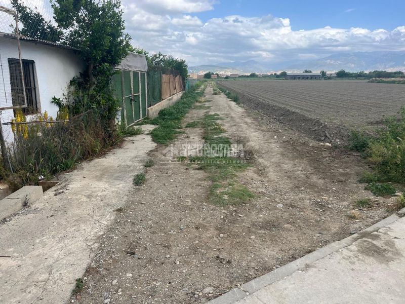 Foto f3a338e1-bfd9-4d24-bfa6-2da748f95b54. Finca rústica a Cúllar Vega