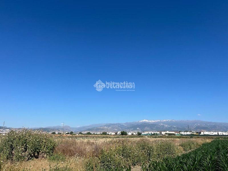 Foto b0735a8a-f2f9-47ee-a363-35d8a290719e. Finca rústica a Cúllar Vega