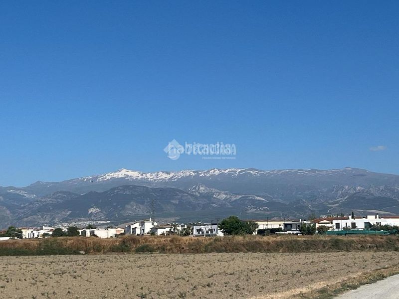 Foto d8cac038-fe48-4e47-9c49-dcd308318f69. Finca rústica a Cúllar Vega