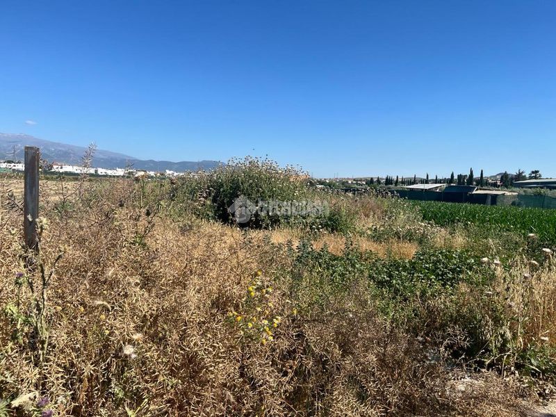 Foto f52c3c74-0060-4350-b369-ce433376beb0. Finca rústica a Cúllar Vega
