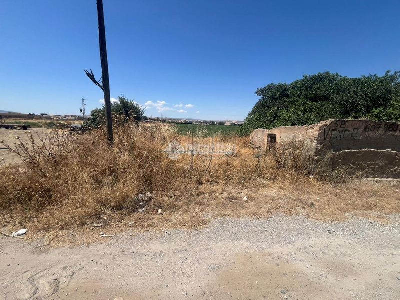 Foto 138622e3-f25c-47f7-ac88-f68e9bab228d. Finca rústica a Purchil Vegas del Genil